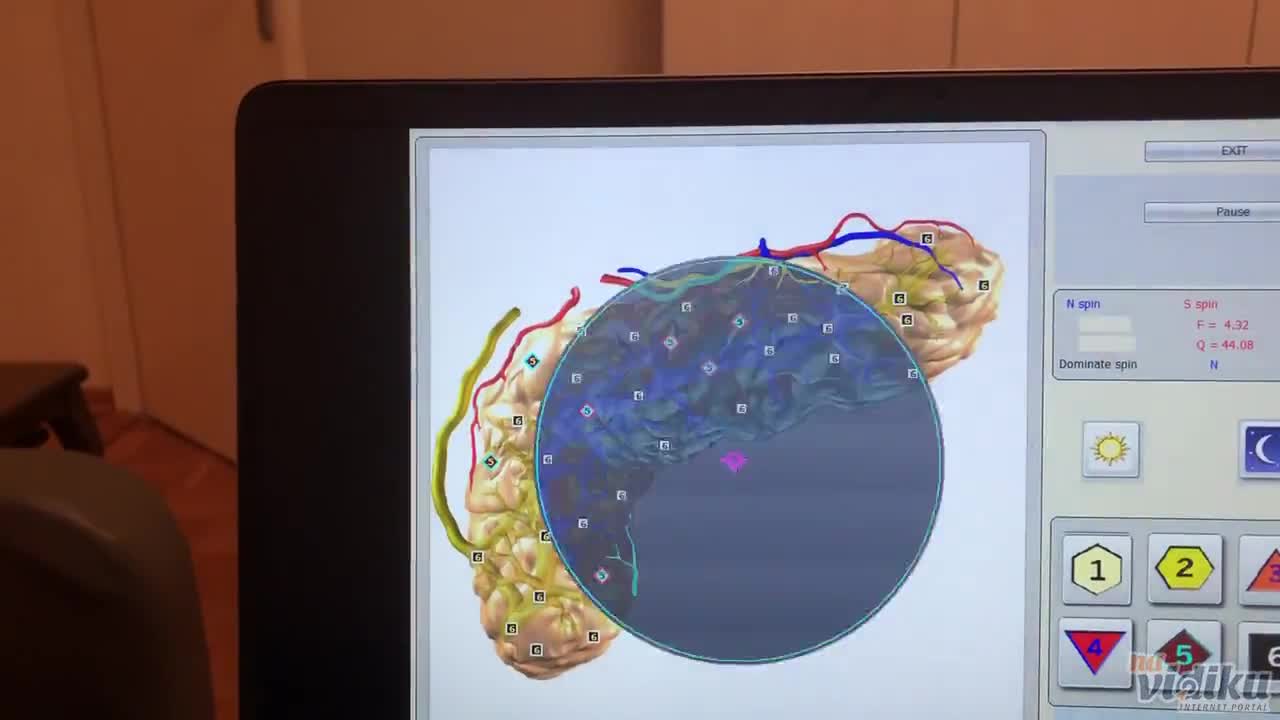 Biorezonantni tretman pankreasa